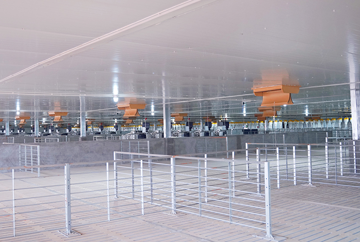 ??????????????? Zhanjiang