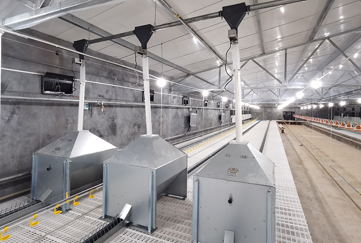 南通正大東凌18萬(wàn)套肉種雞項(xiàng)目