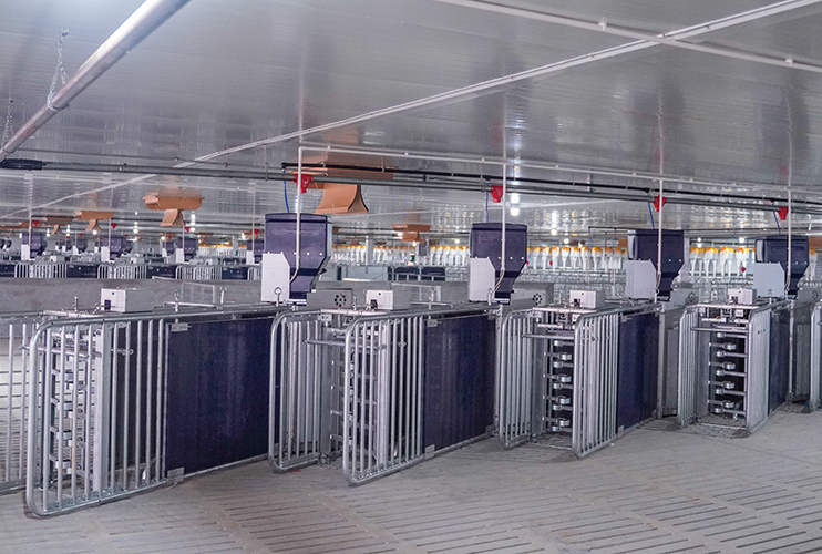 ??????????????? Zhanjiang