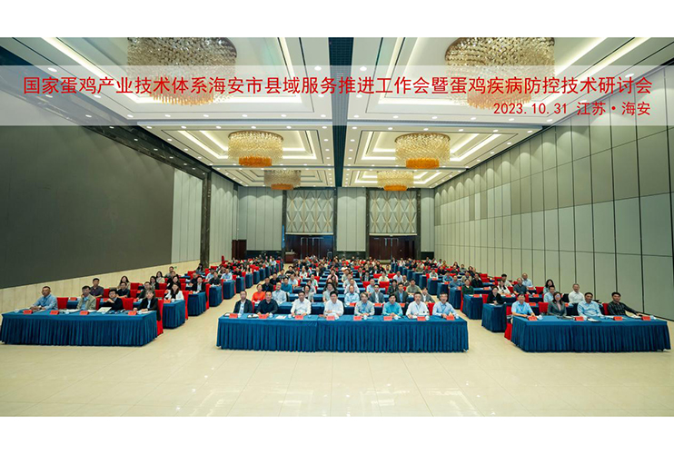 1699498520119335.jpg 01.jpg